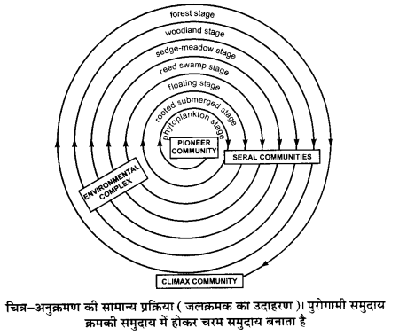 UP Board Solutions for Class 12 Biology Chapter 14 Ecosystem 3Q.2.3