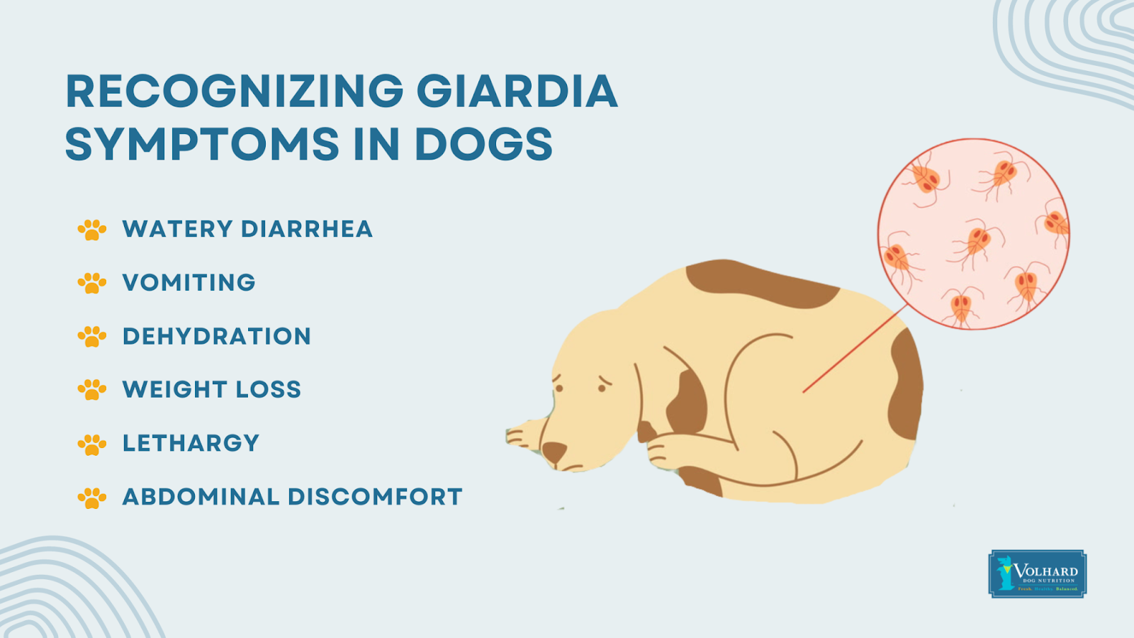 Dog giardia treatment over the counter hotsell