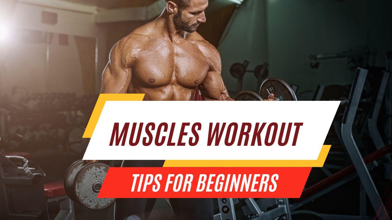 Effective Muscle building Exercises