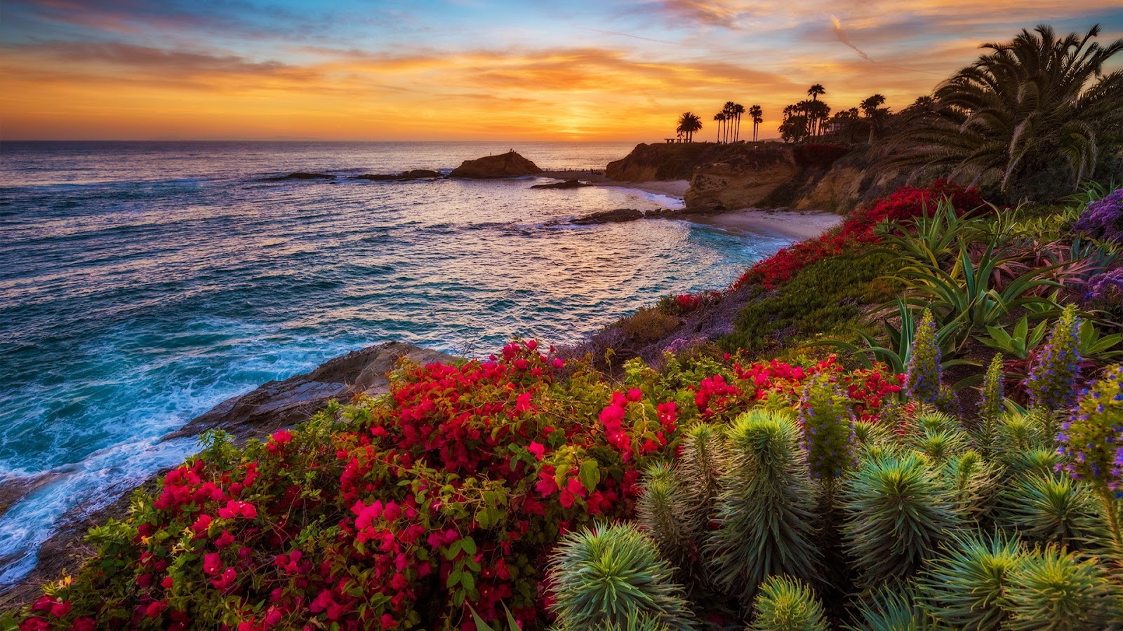 Blue waters, tropical flora and sunset on Laguna Beach
