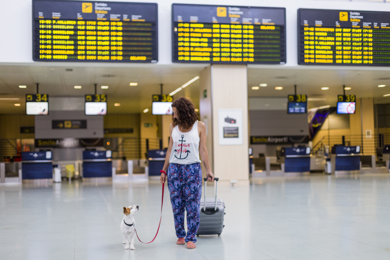 texas travel with dog