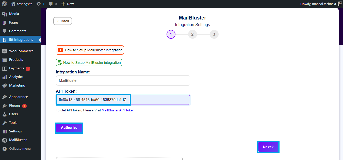 Pasting API key obtained from MailBluster