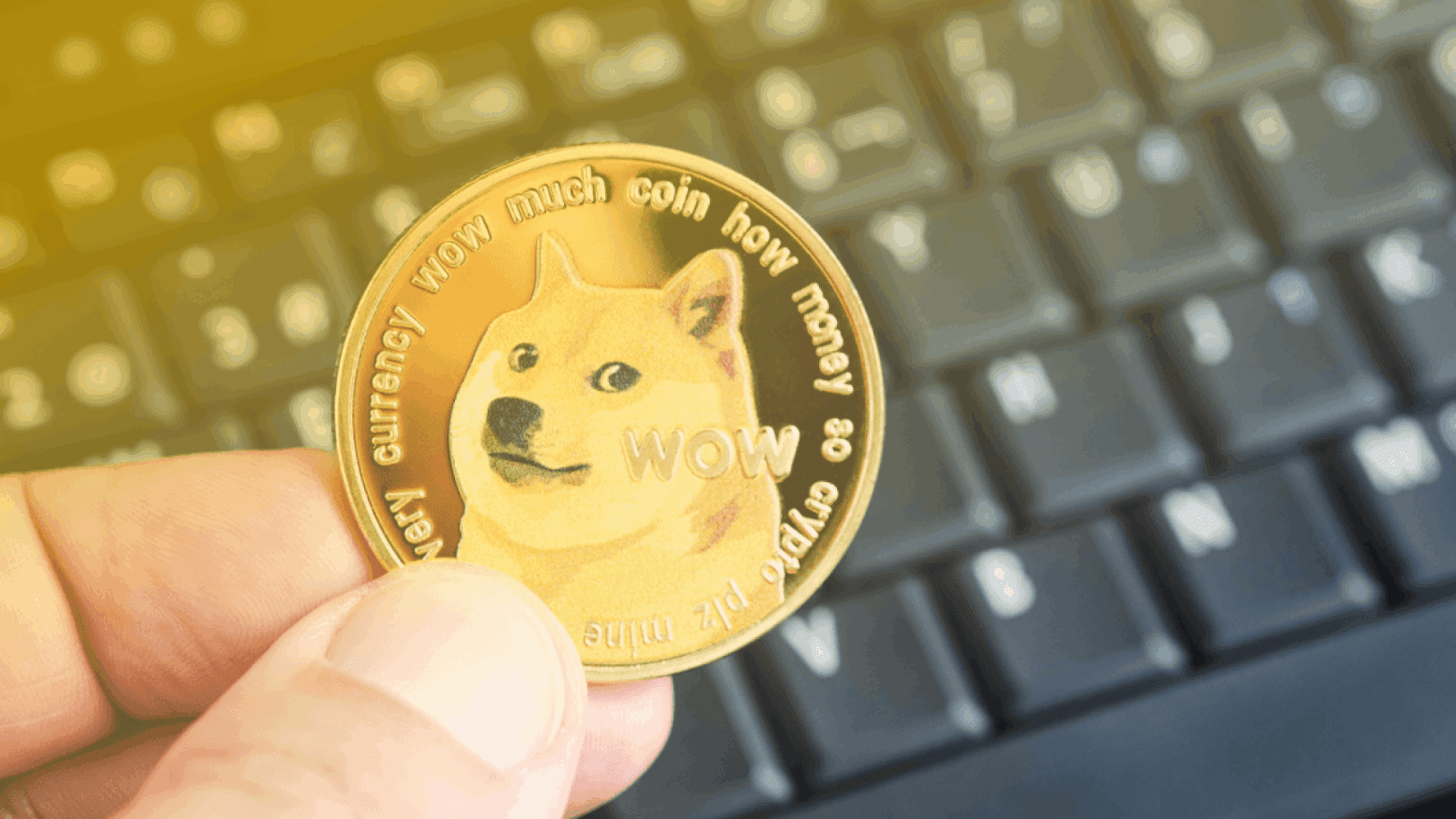 Top Crypto Presale in 2024: MoonBag Raises $3M in A Month; Dogecoin and BlastUP Feel the Heat = The Bit Journal