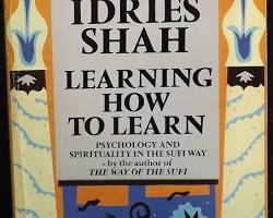 Image of Book Psychology of the Sufi Way