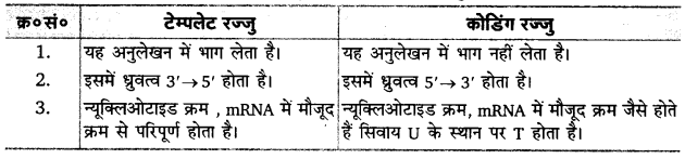 UP Board Solutions for Class 12 Biology Chapter 6 Molecular Basis of Inheritance Q.8.3