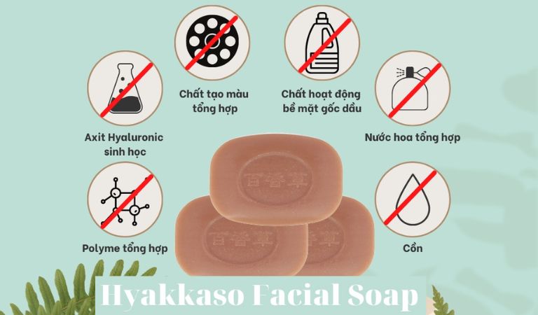 Sữa rửa mặt Hyakkaso