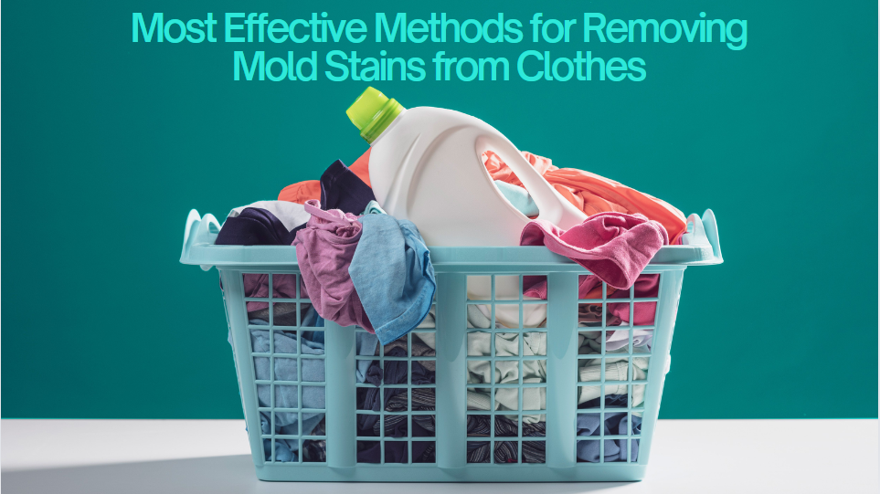 how to get mold stains out of clothes