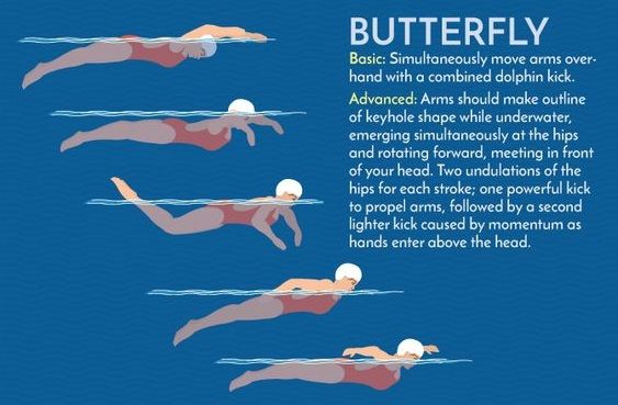 Step-by-Step Guide to Butterfly Swim Technique