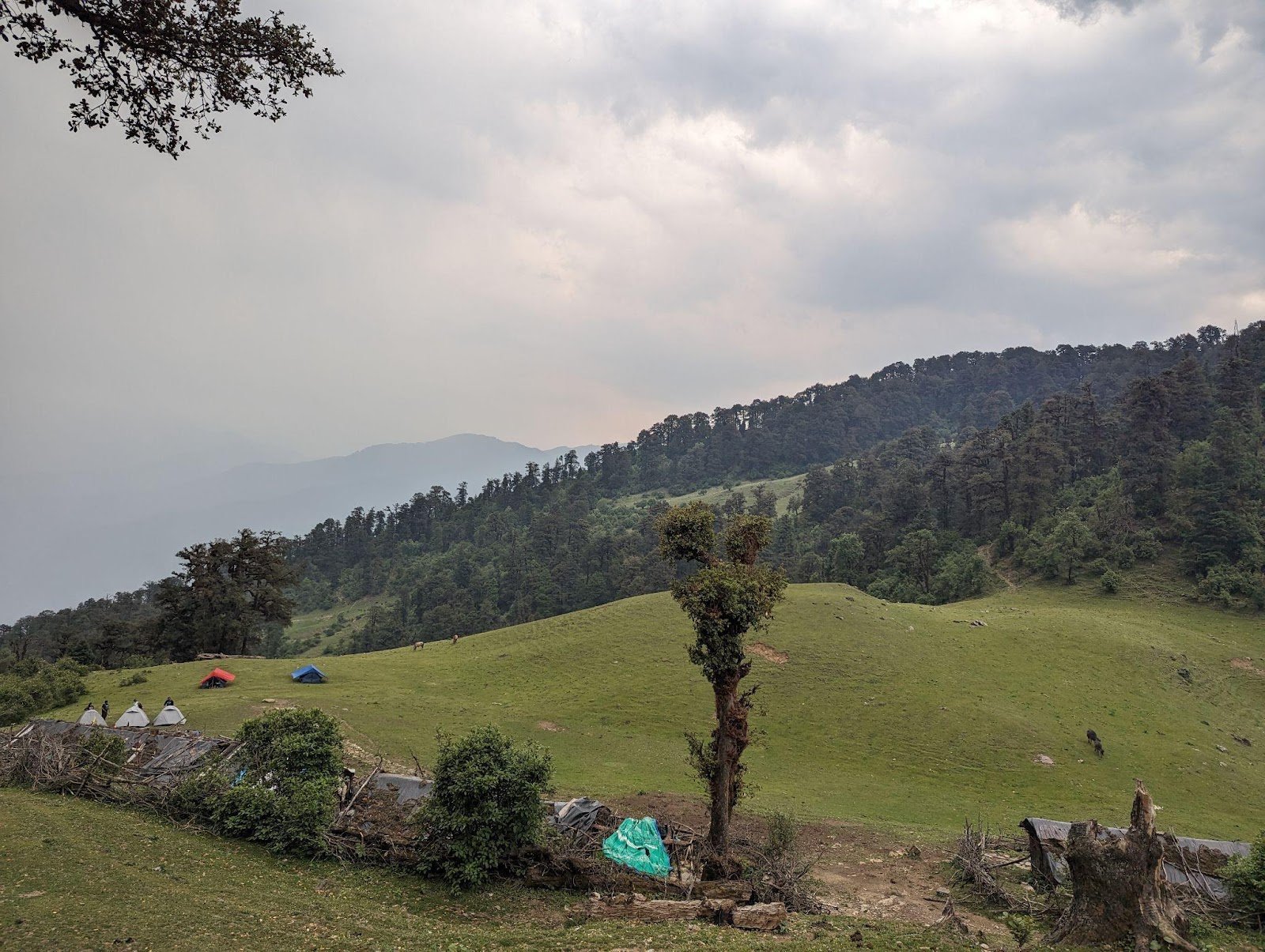 gui campsite view on dayara bugyal