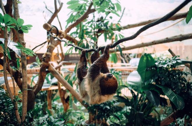 生活-家居-動物保育-海洋公園-國際認證