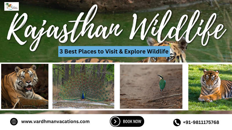 Rajasthan Wildlife Tour