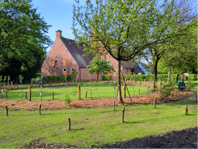 Afbeelding met buitenshuis, gras, hemel, Perceel

Automatisch gegenereerde beschrijving