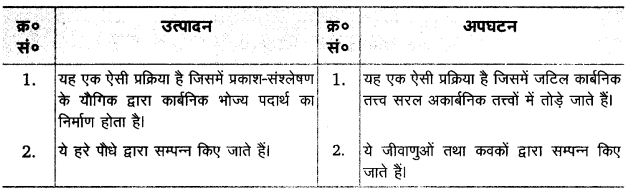 UP Board Solutions for Class 12 Biology Chapter 14 Ecosystem Q.6.3