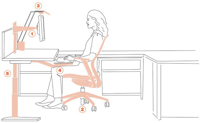 The Impact of Workplace Ergonomics on Office Productivity - image 2