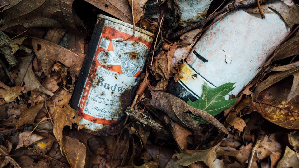 Free Close-Up Photo of Rusty Budweiser Can Stock Photo