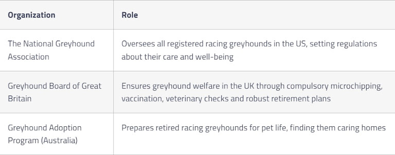 Organizations for the development of greyhound breeds of dogs