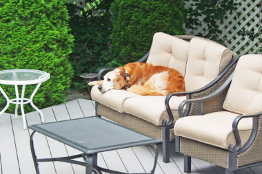 deck designs to create a pet friendly outdoor living space dog relaxing on padded decking furniture custom built michigan