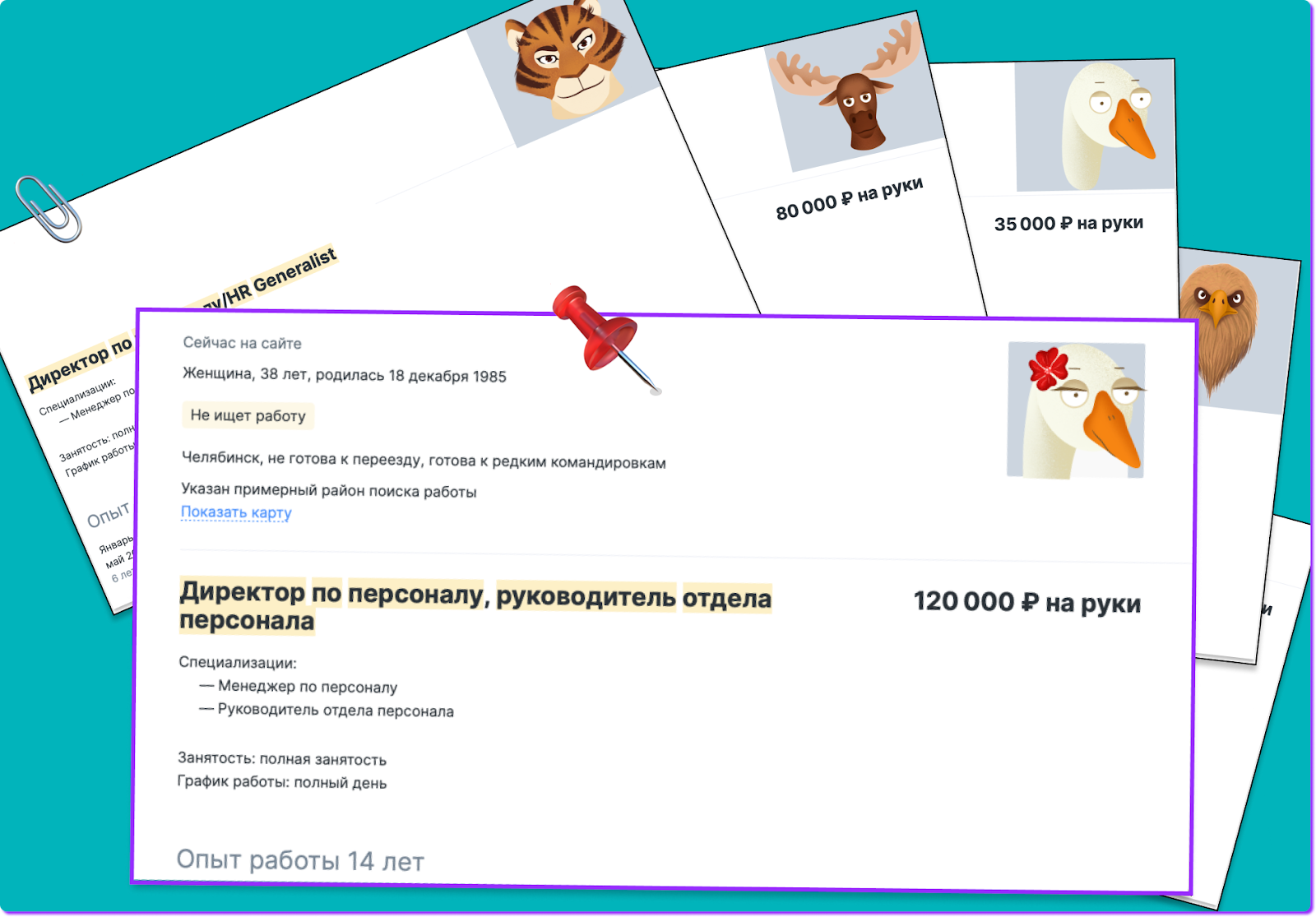 HR-директор: кто это, чем занимается и за что отвечает, KPI директора по  персоналу | Нескучные финансы