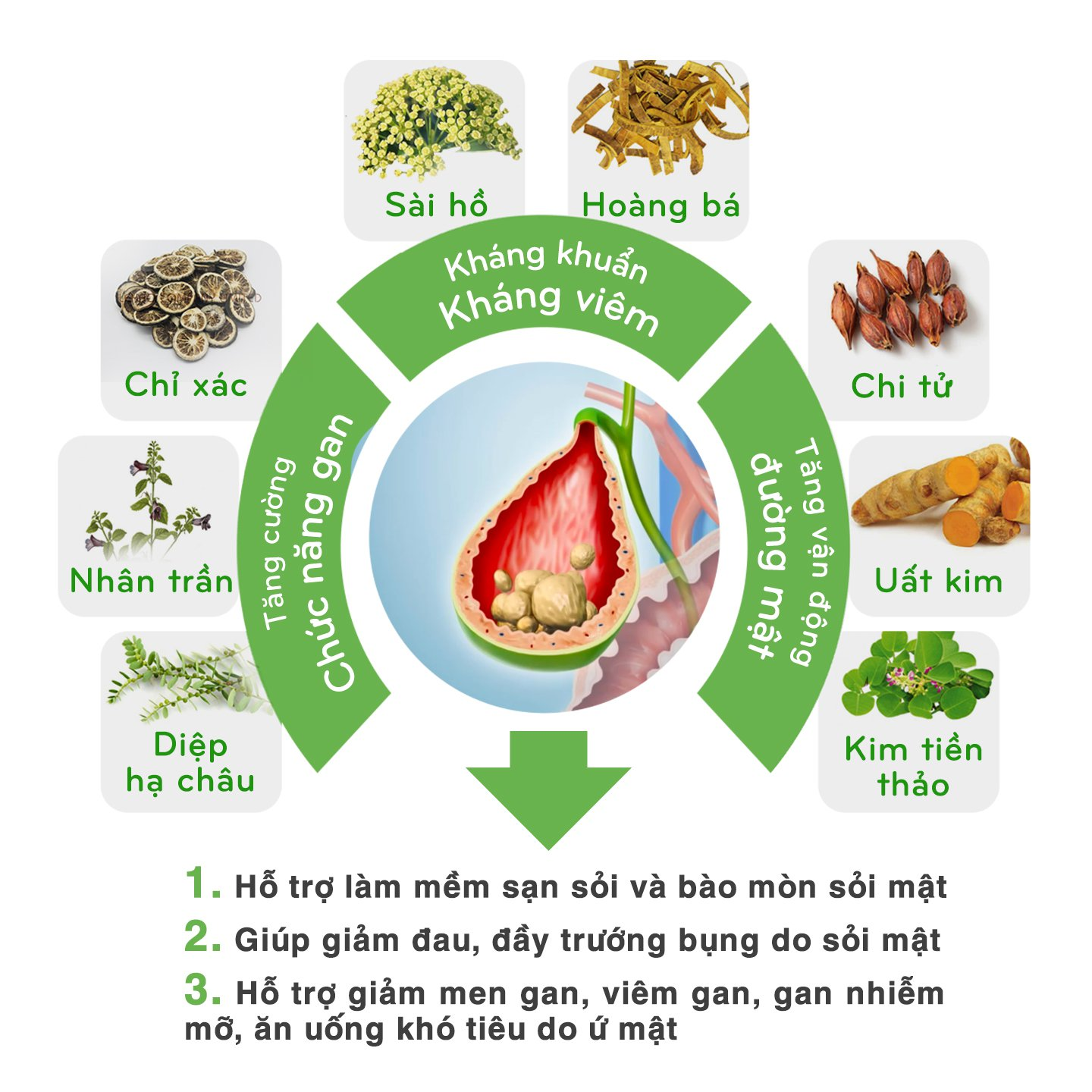 Bát bảo thảo dược giúp làm tan sỏi, cắt cơn đau sỏi mật lâu dài