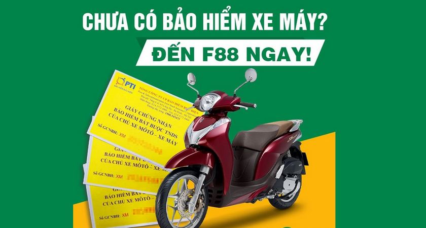 mua bảo hiểm xe máy trên momo có được không