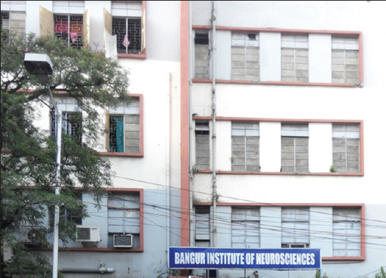 Bangur Institute of Neurosciences