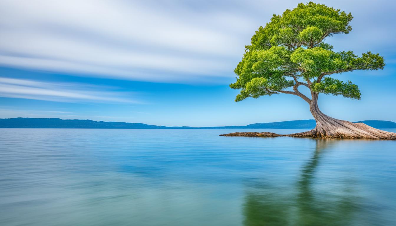 A serene sea with a small boat in the distance, symbolizing the slow and steady journey towards manifesting a dream home. In the foreground, a tree stands tall and patient, reminding us to trust in the process and let nature take its course. The sky is clear and bright, representing the hope and optimism that comes with patience and perseverance.