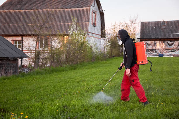 Effectively eliminate gophers and protect your yard from future infestations with Green Machine’s gopher fumigation solutions.