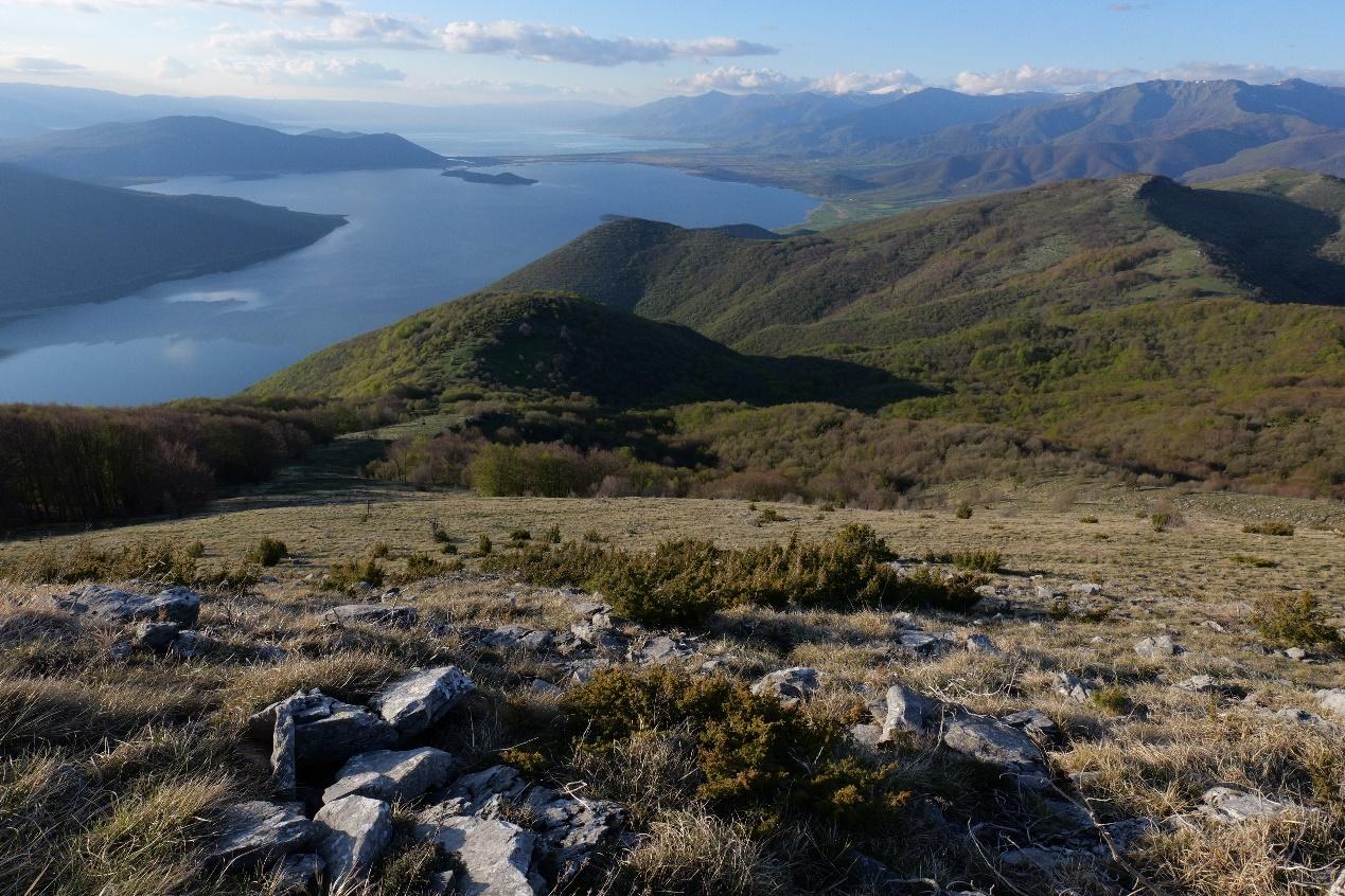 A view of a lake from a mountain

Description automatically generated