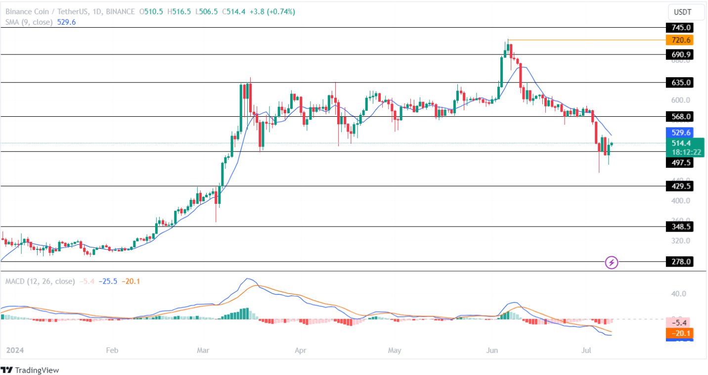 Binance 価格分析