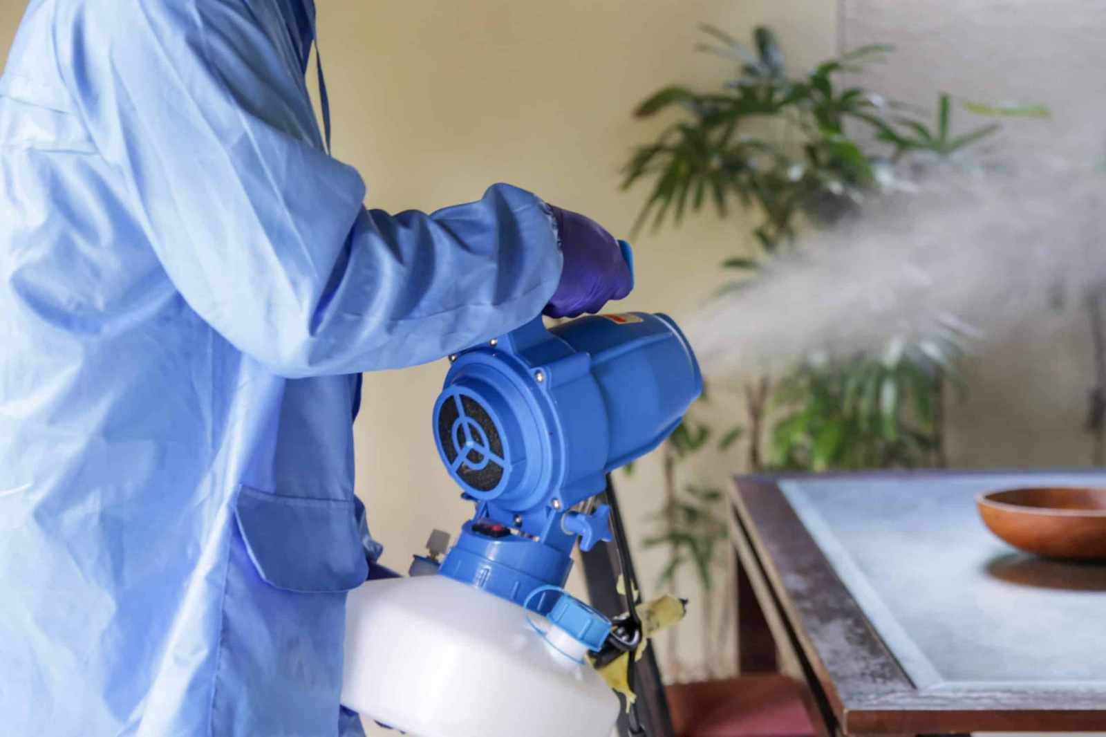 how to get rid of mold smell in walls