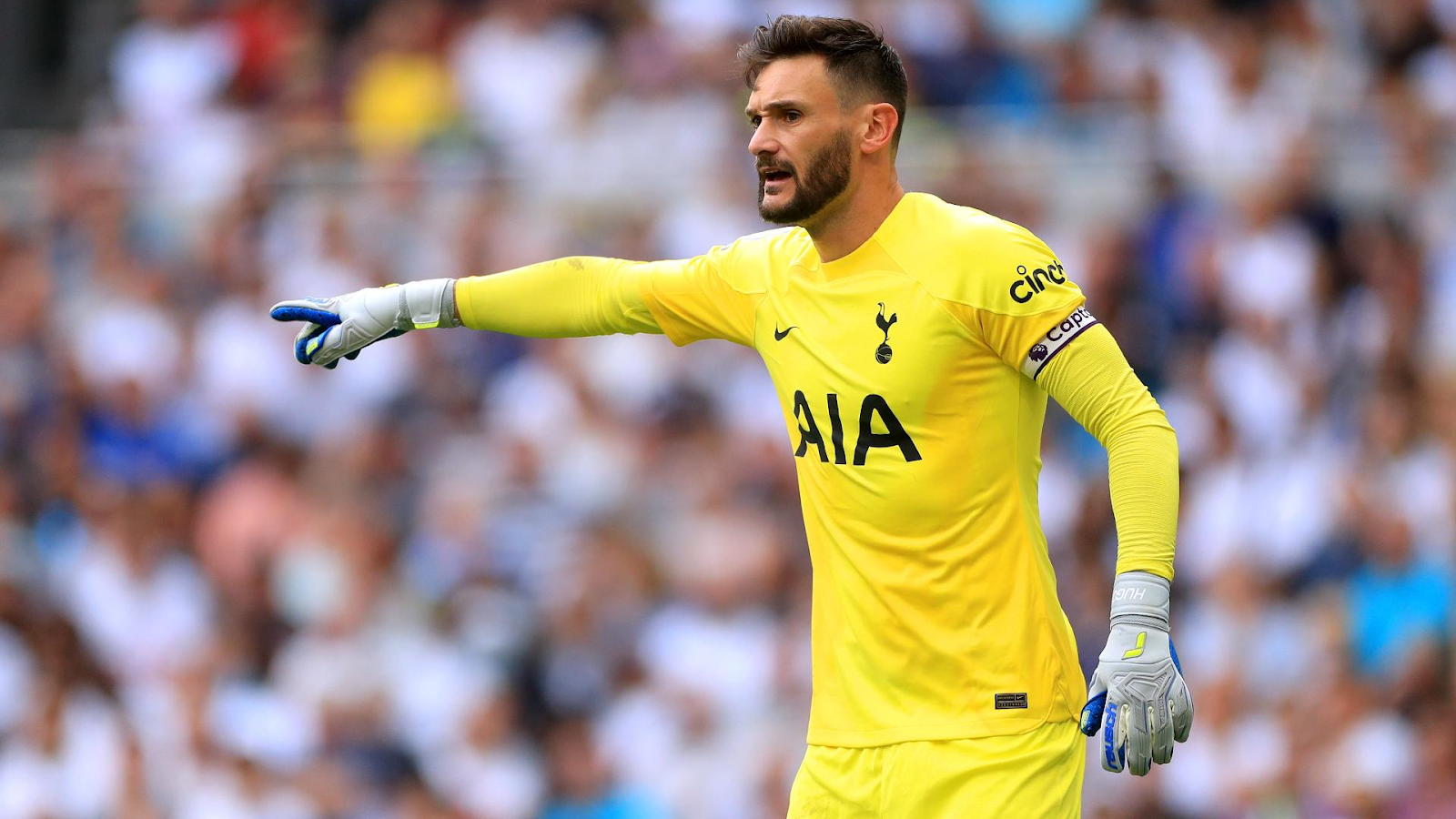 Tiểu sử Hugo Lloris – Thủ thành đầy tài năng của bóng đá Pháp