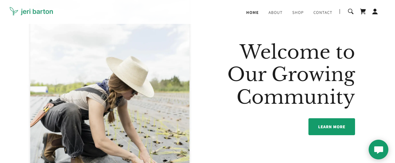 Jeri Barton personal blog template