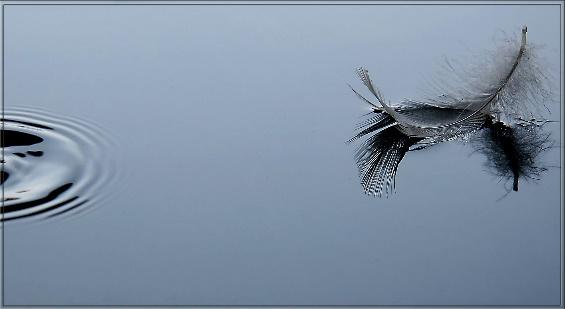 Leggerezza sull'acqua Foto % Immagini| paesaggi, laghi e fiumi, natura ...