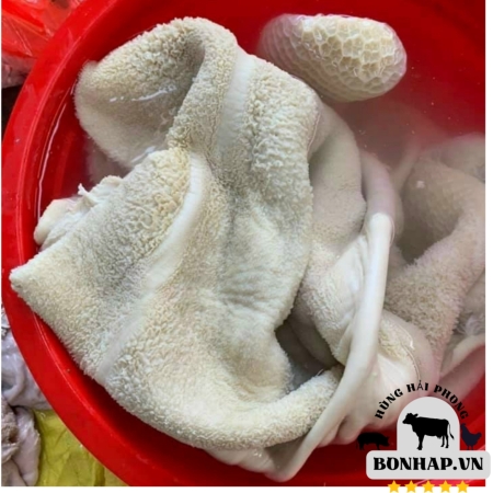 Bao tử bò