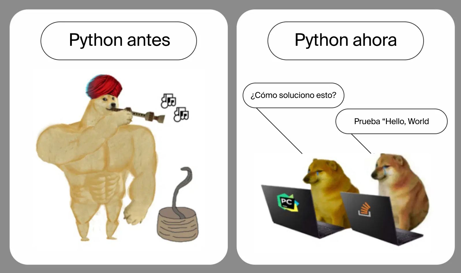 meme sobre los desarrolladores de Python