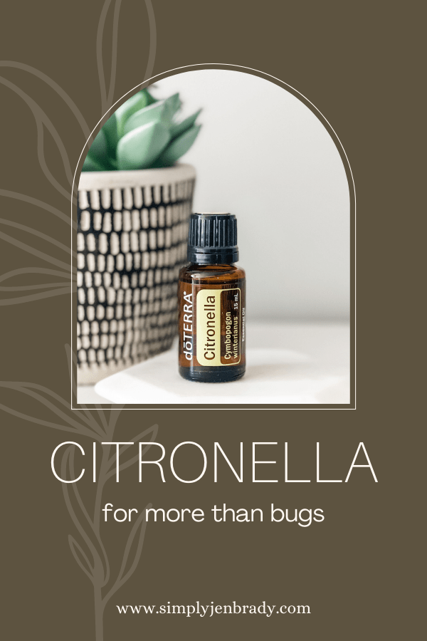 Citronella is known for its bug repellent properties, but it has other uses as well!