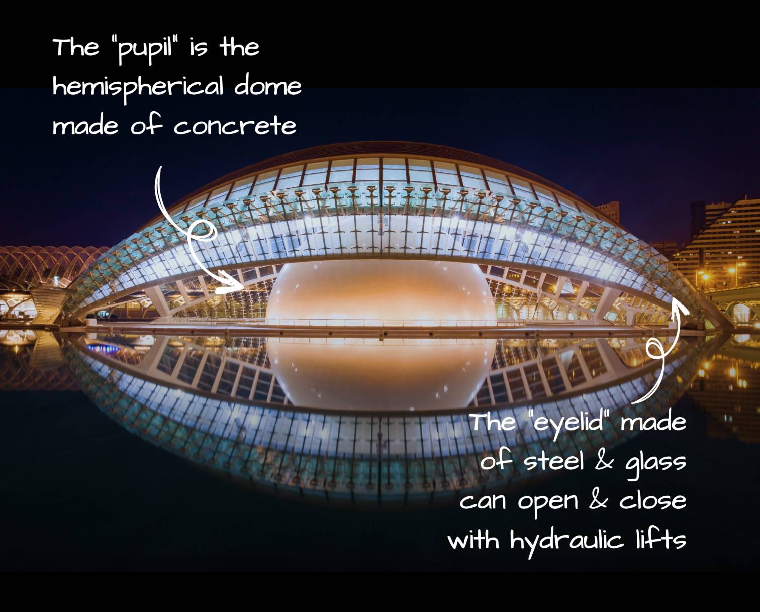 Decoding Santiago Calatrava's Architecture - image 8