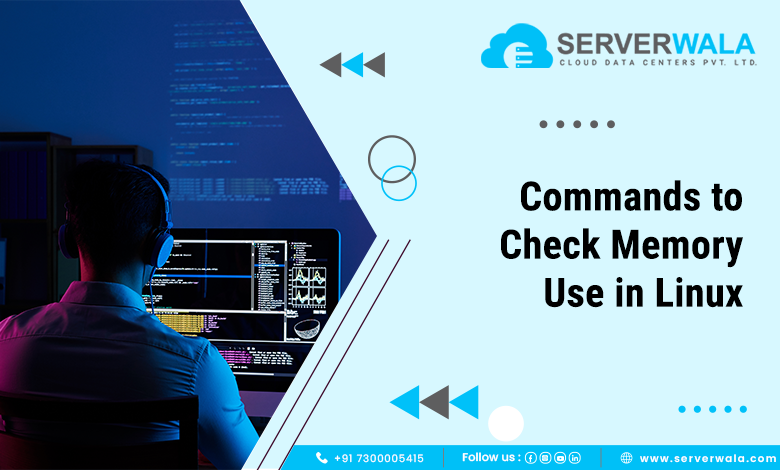 Commands to Check Memory Use in Linux