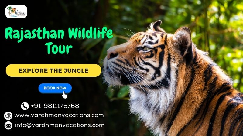 Rajasthan WIldlife Tour 