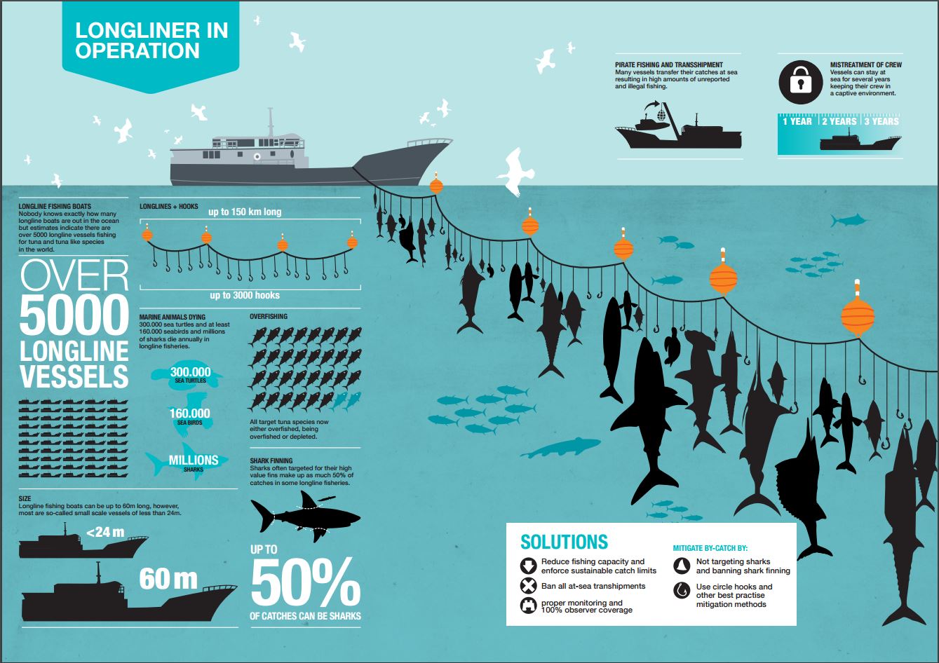 Sustainable Fishing Methods: Ensuring Ocean's Future