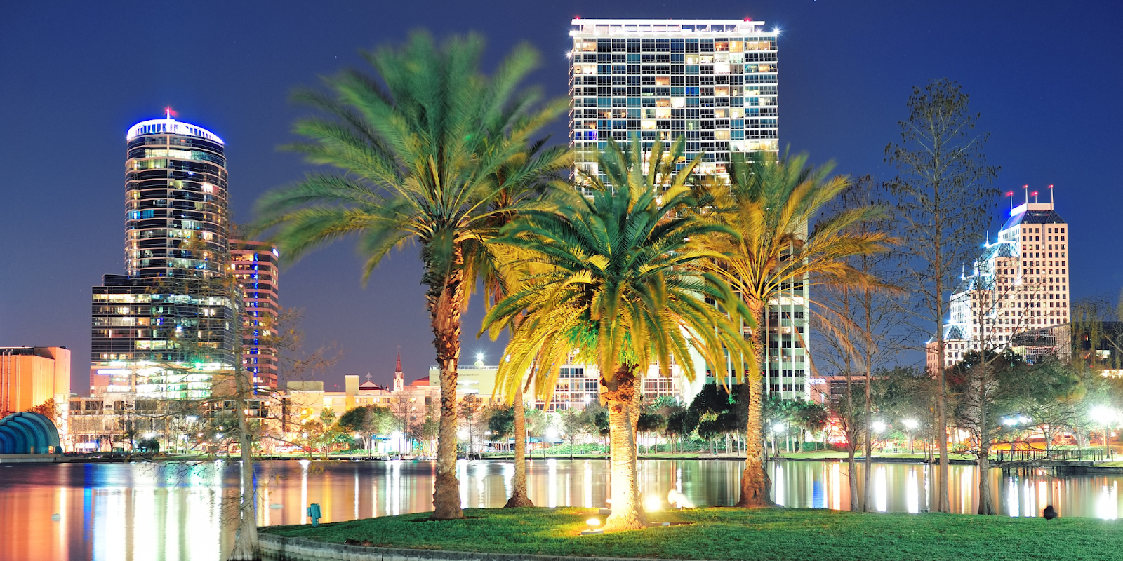 A night view of downtown Orlando, Florida, featuring illuminated modern buildings reflecting on the calm waters of a lake. Tall palm trees are prominently displayed in the foreground, adding a tropical touch to the urban scene. The bright lights of the buildings and the clear night sky create a serene and picturesque atmosphere.