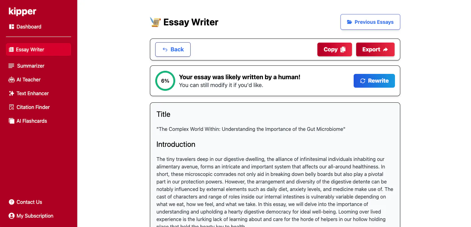 university essay review