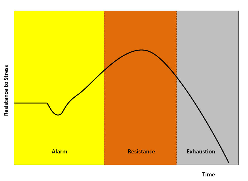 File:General Adaptation Syndrome.jpg - Wikimedia Commons