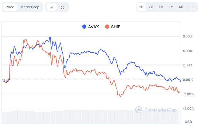 Shiba Inu’s Surprise Flip: What’s Behind the Meme Coin’s Market Cap Surge?