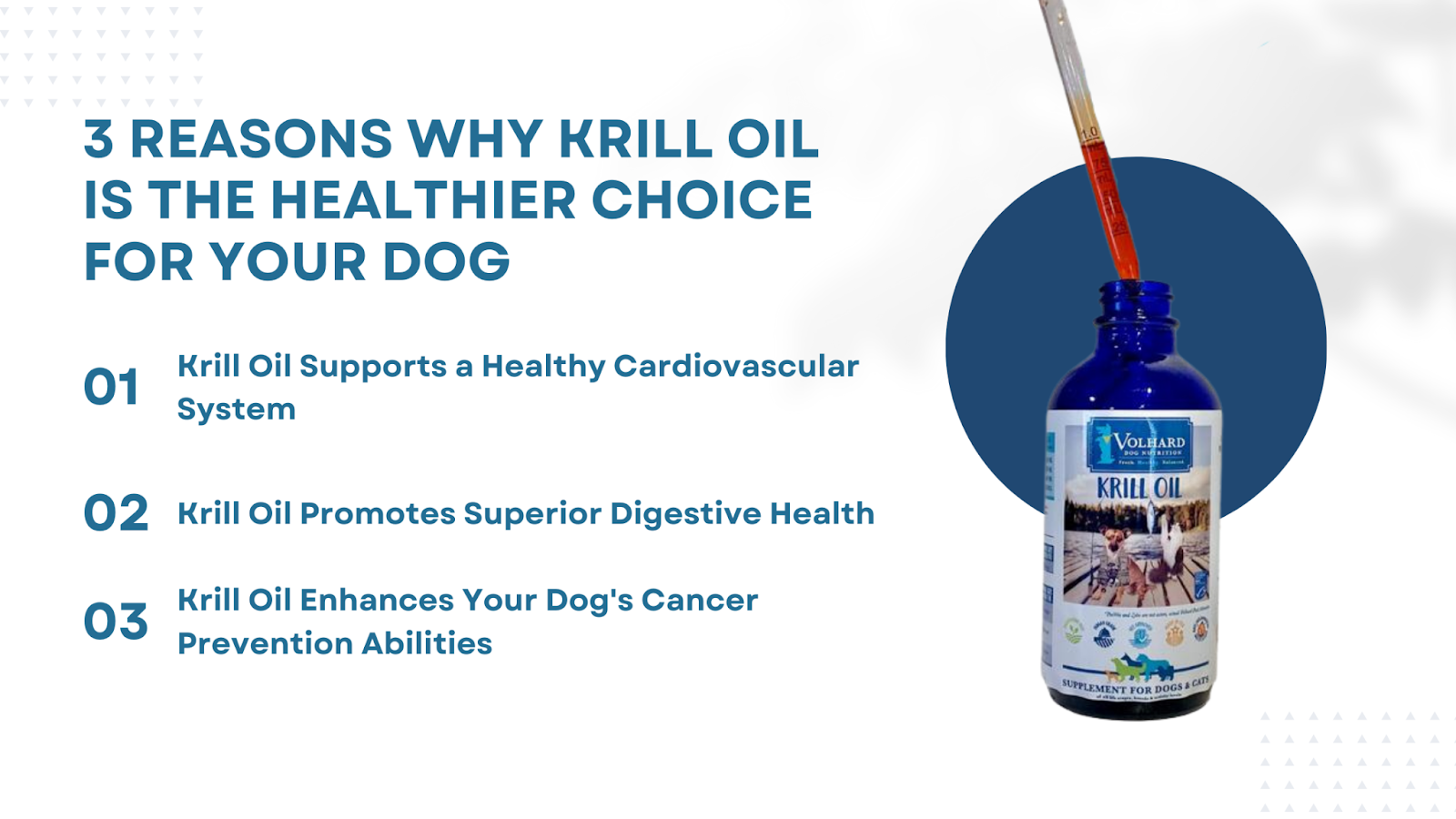 krill oil is the healthier choice for dogs