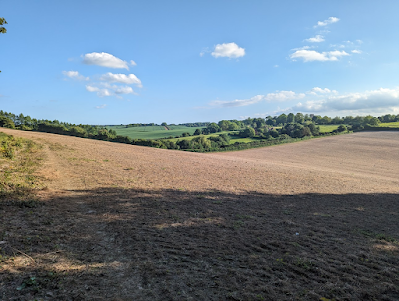 dry parched field in rolling countryside with blue sky