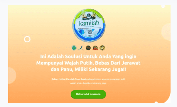 Contoh Copywriting di Website