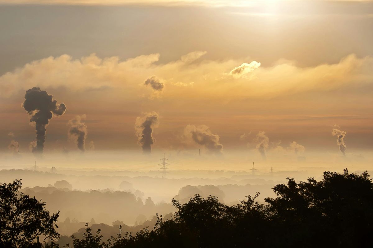 Carbon cycle importance