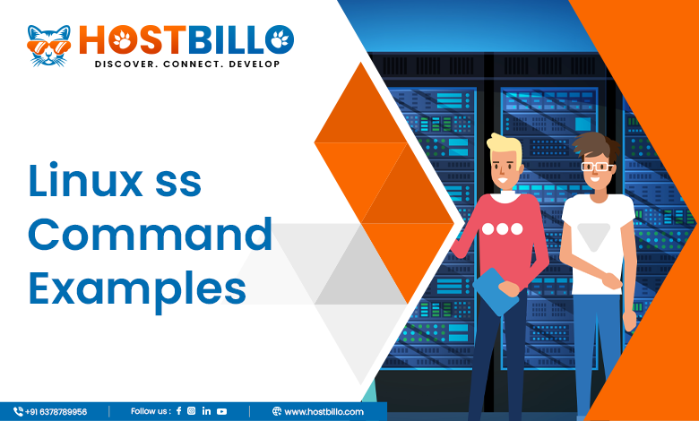 Linux ss Command Examples