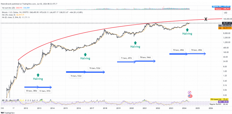 Bitcoin halving analysis by Peter Brandt
